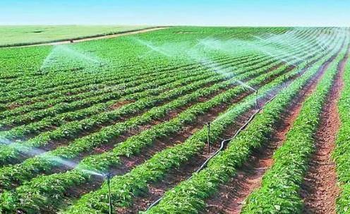 在线肏骚屄农田高 效节水灌溉